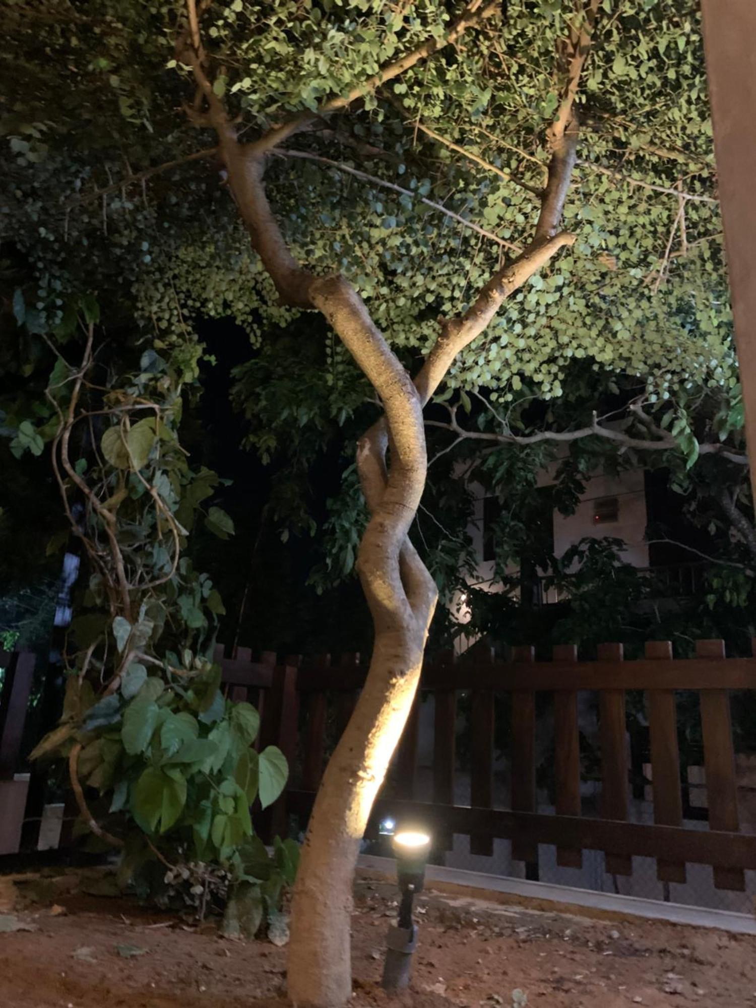 Thaproo Bay Hiriketiya Bed & Breakfast Dikwella Dış mekan fotoğraf