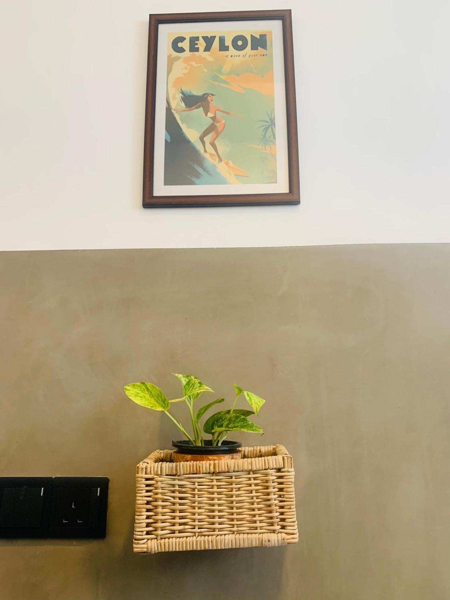 Thaproo Bay Hiriketiya Bed & Breakfast Dikwella Dış mekan fotoğraf